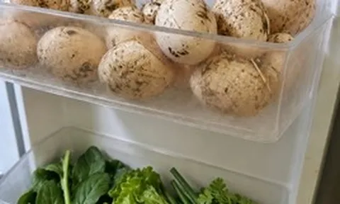 Mẹ chồng vừa lên chơi được 2 tiếng, giữa trưa về mở tủ lạnh mà tôi bốc hỏa lên