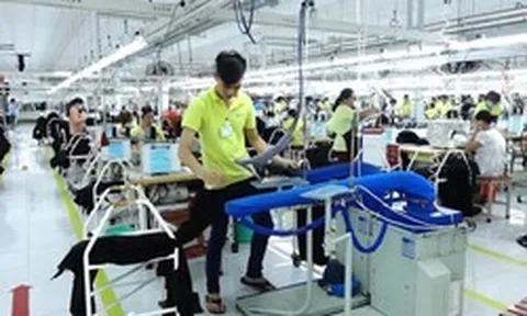 Lãi gấp 5 lần năm trước, một công ty dệt may sắp trả cổ tức bằng tiền mặt tỷ lệ 40%