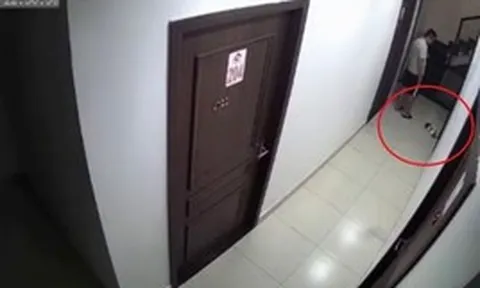 Lời giải thích của nam thanh niên đá chết chú chó rồi bỏ vào thùng rác ở Hải Phòng