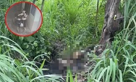 Vụ phát hiện bộ xương trong Khu đô thị ở TP.HCM: Nghi là MC 34 tuổi mất tích nhiều ngày