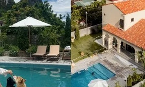 Bên trong "second home" phủ kín cây ăn trái, nằm giữa thung lũng cách Hà Nội 40km của cô chủ tiệm hoa