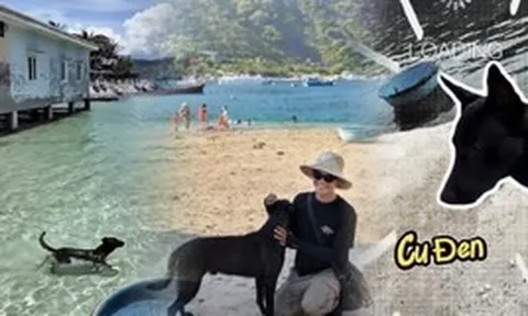 Có một "nhân viên" ai đến đảo Bích Đầm cũng muốn gặp: Da rám nắng, ngày nào cũng đi tuần bãi biển