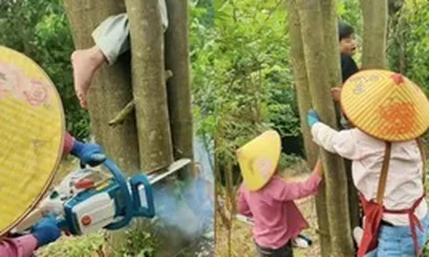 Xem giải cứu em bé mắc kẹt khi trèo cây, dân mạng than 'khối nghỉ hè quá mạnh'