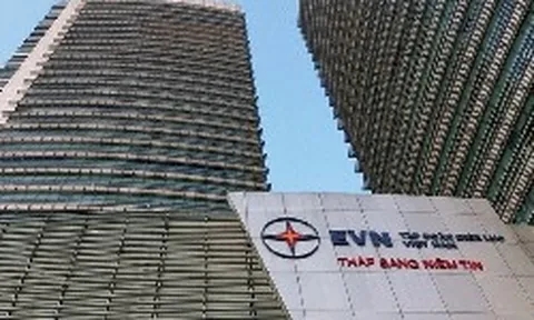 3.593 nhân viên công ty mẹ EVN nhận lương trung bình gần 480 triệu đồng/năm, đủ mua hơn ba cây vàng