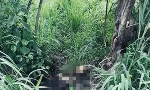 Công an kêu gọi cung cấp thông tin liên quan vụ bộ xương người trong khu đô thị Đại học Quốc gia TPHCM