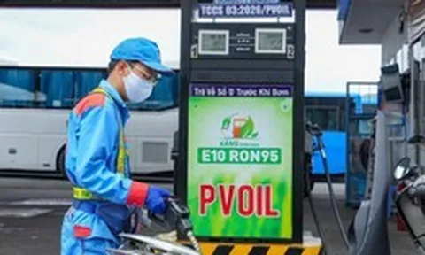 PVOIL tiếp tục lên tiếng về xăng E10