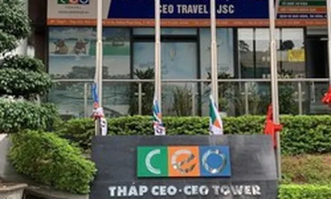 CEO Group góp vốn thành lập 2 công ty con trong lĩnh vực giáo dục