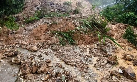 Dự báo thời tiết 19/7/2026: Bắc Bộ mưa to đến rất to, nhiều nơi nguy cơ lũ quét, sạt lở đất