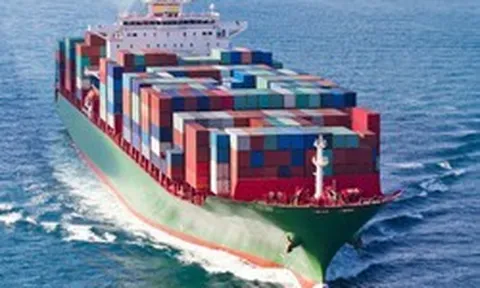 Xuất khẩu 1 triệu container mỗi năm, doanh nghiệp thủy sản đau đầu về chi phí logistics: Cước vận chuyển sang Mỹ có lúc tăng vọt gần 10.000 USD/container