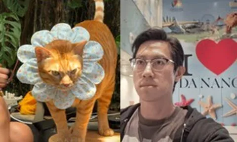 Một chú mèo ở quán cà phê Đà Nẵng bất ngờ thành “ngôi sao” quốc tế, khách Tây đua nhau bay qua Việt Nam để gặp
