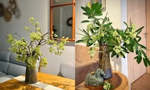 Trend hoa sữa hot nhất năm nay: 20/10 nhiều người xin hoa về cắm cho... thơm