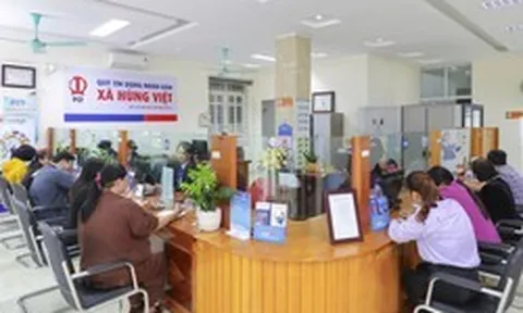 Từ 26/11/2026, khách hàng được tra cứu thông tin tiền gửi tại quỹ tín dụng nhân dân