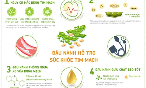 Bật mí 3 bí quyết bảo vệ sức khỏe tim mạch, cái cuối gây bất ngờ vì quá đơn giản