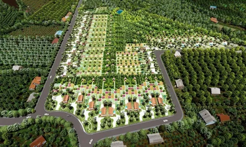 Nhà vườn Hồ Trị An - Sống điền viên với thiên nhiên