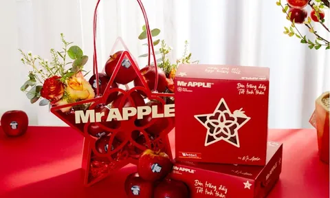 Giỏ quà Mr Apple - Món quà sức khỏe cho Trung thu đủ đầy
