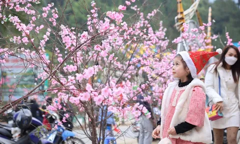 Sống động và lung linh sắc màu tại chương trình “Sắc thắm Tớ dày Mù Cang Chải”