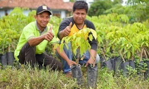 Tập đoàn Seiko Epson và tổ chức WWF hợp tác trong 3 năm nhằm khôi phục và bảo tồn rừng trên toàn thế giới