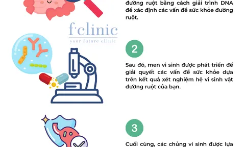 Tiềm năng của men vi sinh (Probiotic) trong việc cải thiện sức khỏe người bị bệnh phổi