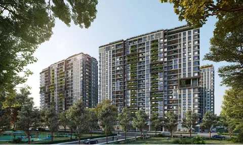 Thiết kế biophilic: Cách Elysian hòa mình trong “dòng chảy” của tự nhiên