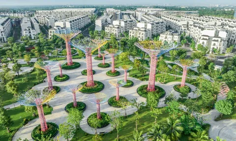 Cộng đồng người Hàn Quốc ngày càng chuộng an cư tại Vinhomes Grand Park
