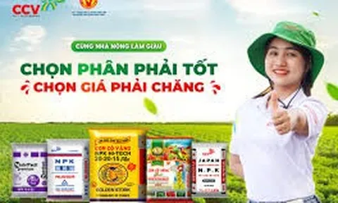 Phân bón Con Cò Vàng đồng hành cùng nền nông nghiệp xanh, kinh tế xanh