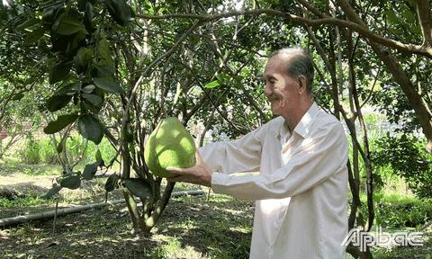 Chuyện về người tạo ra nhiều sản phẩm OCOP từ bưởi