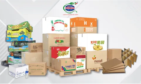 BAO BÌ HOÀNG LONG CHẤT LƯỢNG ĐỒNG HÀNH CÙNG NĂNG LỰC SẢN XUẤT