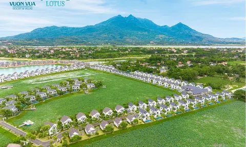 Đế Liên Villas – Lựa chọn hoàn hảo cho sản phẩm bất động sản dòng tiền ven đô