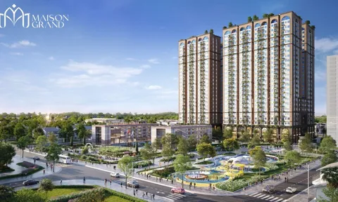 “Phường Phú Mỹ: Tâm điểm kết nối mới của chuyên gia quốc tế tại miền Nam”