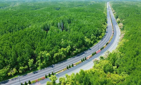 Đô thị trung tâm quá tải, Cần Giờ - “biển của Sài Gòn” trở thành đích đến của xu hướng “di cư xanh”