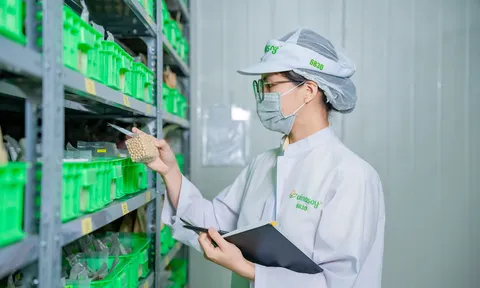 Vinasoy công bố thông điệp mới, kiến tạo dưỡng chất lành từ đậu nành và hạt