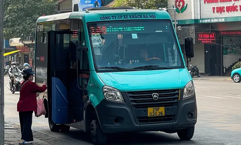 Đưa xe buýt cỡ nhỏ vào đường nhánh: Mở rộng độ phủ, tăng sức hút giao thông công cộng