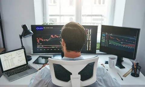 Tại sao giao dịch Forex yêu cầu minh bạch và bảo mật tuyệt đối?