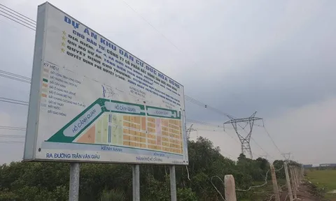 Công ty CP BĐS Đức Hòa Đông mở bán, thu tiền khách hàng trên bãi đất trống