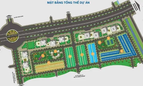 Đồng Nai: Công ty Địa ốc Kim Oanh dẫn đầu nhóm doanh nghiệp bất động sản nợ thuế