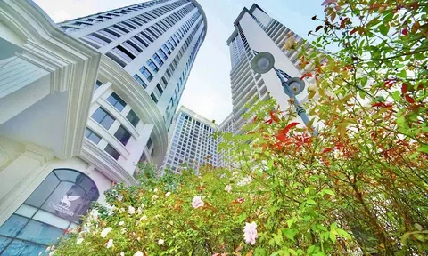 Cảm nhận mùa thu giữa không gian đô thị Xanh của Sunshine Group