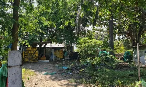 Dự án King Sea Phan Thiết: Sau gần 20 năm được phê duyệt vẫn chỉ là khu đất trống đầy cỏ hoang