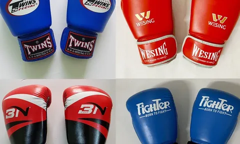 Siêu thị võ thuật Việt Nam - 14 năm hình thành và phát triển