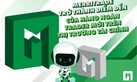 Cùng MerriTrade tiến bước vững chắc hơn trên thị trường tài chính