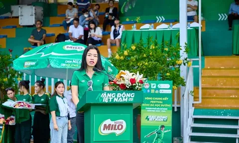 Khai mạc vòng chung kết Festival Bóng đá học đường TP.HCM năm học 2023 – 2024