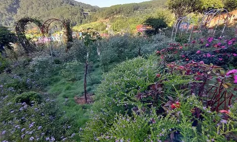 Khu du lịch Vườn thượng uyển bay: Điểm nhấn du lịch Đà Lạt trong tương lai