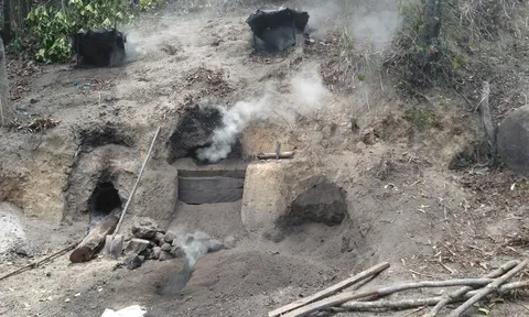 Vấn nạn phá rừng làm nương rẫy ở Suối Tân, Cam Lâm: Chính quyền có làm ngơ?