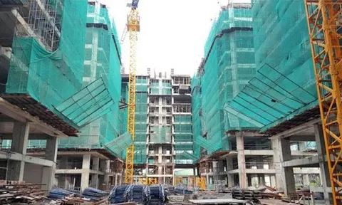 Địa ốc Hoàng Quân đặt mục tiêu doanh thu hơn 1.500 tỷ trong năm 2019