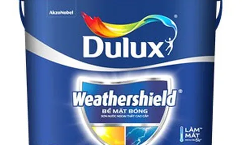 Sơn chống thấm được chú ý hơn sau bão