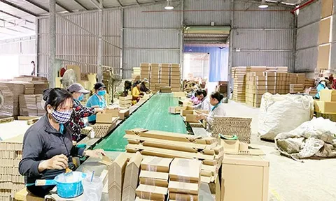 Sắp diễn ra Hội thảo chuyên đề Môi trường - động lực gắn kết cùng phát triển giữa Ngành Giấy và Bao Bì Đóng gói Việt Nam