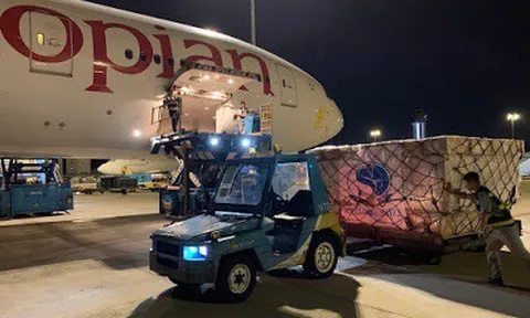 Huy động 4 hãng bay lớn vân chuyển 5 triệu vật tư y tế từ Việt Nam sang Mỹ