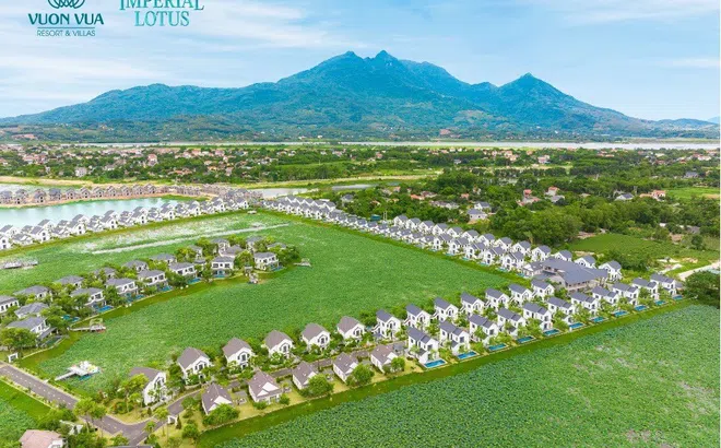 Đế Liên Villas – Lựa chọn hoàn hảo cho sản phẩm bất động sản dòng tiền ven đô