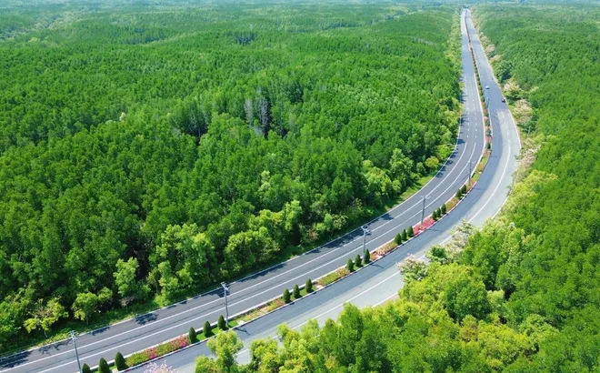 Đô thị trung tâm quá tải, Cần Giờ - “biển của Sài Gòn” trở thành đích đến của xu hướng “di cư xanh”